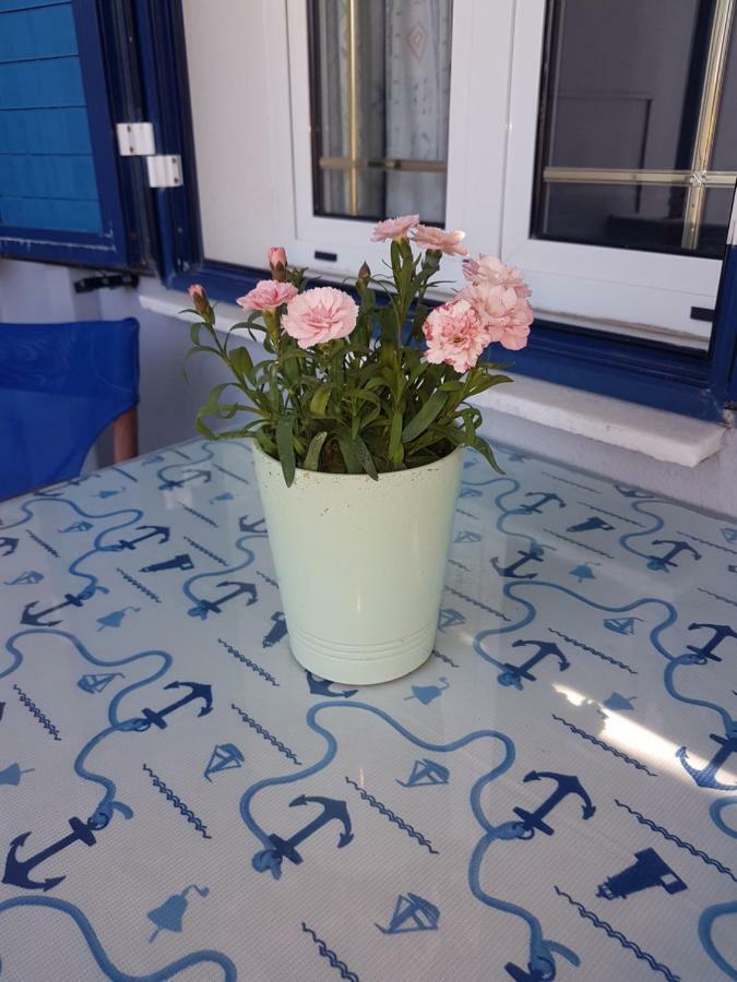 Fotini Apartment *